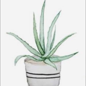 Meet your Posher, Gabby